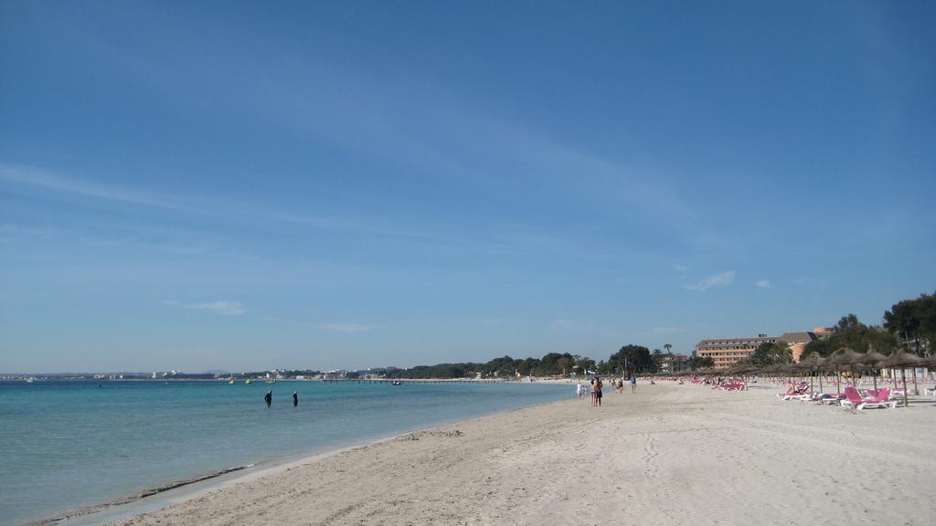 Minerva * Port de Alcudia (Mallorca)