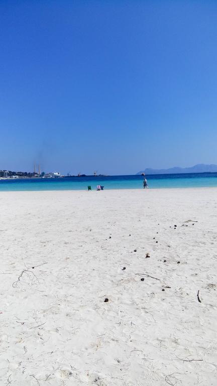 Minerva Port de Alcudia (Mallorca)
