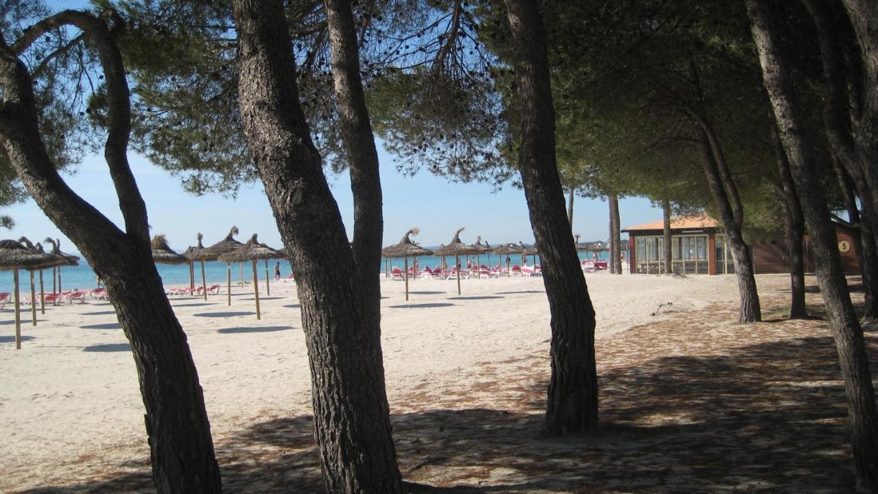 Minerva Port de Alcudia (Mallorca)