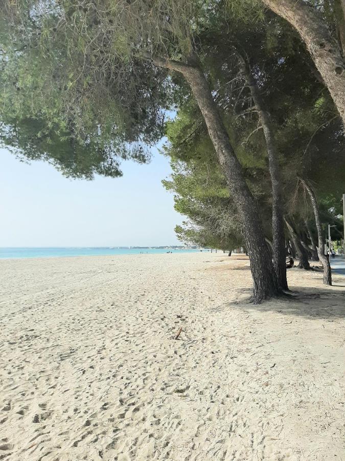 Minerva Appartement Port d'Alcúdia